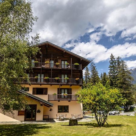 Alpine Forest Hotel Шамполюк Екстер'єр фото