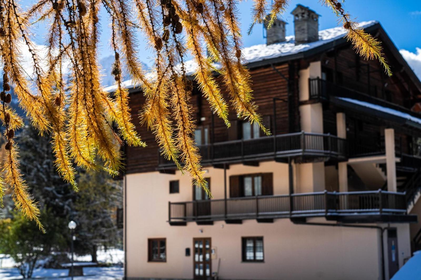 Alpine Forest Hotel Шамполюк Екстер'єр фото