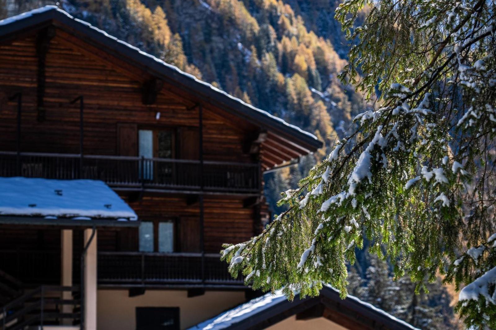 Alpine Forest Hotel Шамполюк Екстер'єр фото